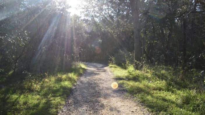 Spring Lake Natural Area | San Marcos, TX