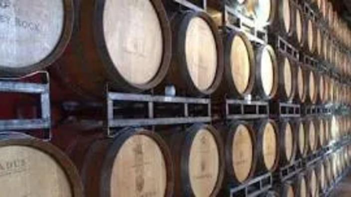 Taylor LaFever At Wolf Gap Vineyard