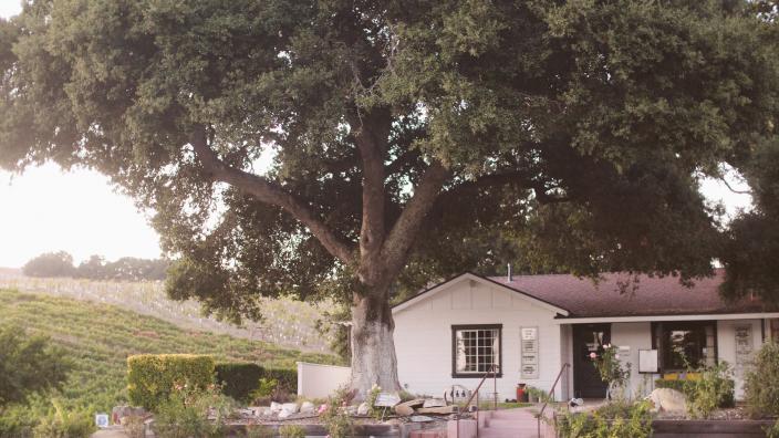 Grey wolf wine sale