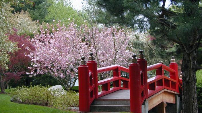 Shiojiri Niwa Garden | Mishawaka, IN 46544