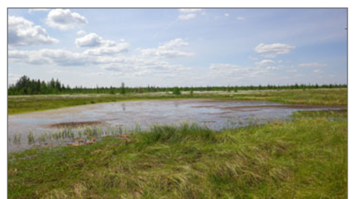 Dewey Marsh Wildlife Area