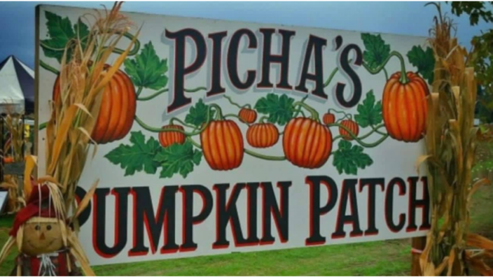 PICharPaK WorksHoP.×CAMP HILLS PiCharPaK WorkSHop. – The Gears