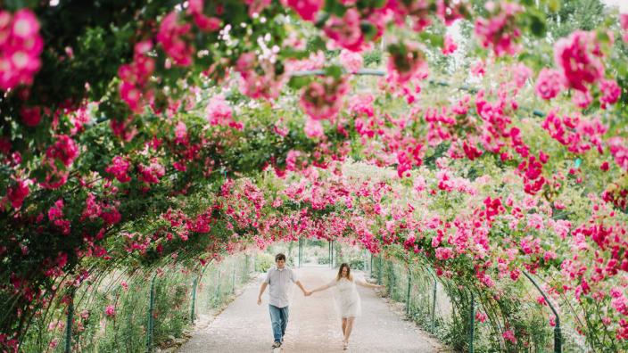 PointDefianceRoseGarden_31_f36