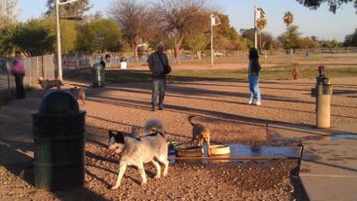 The Bark Park, Dogs of Tucson