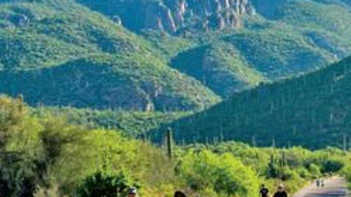 Sabino canyon bikes deals