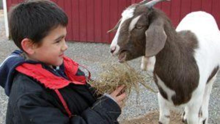 Peninsula SPCA Barnyard