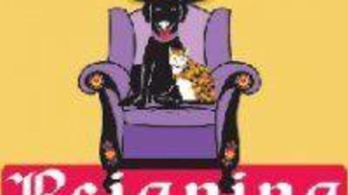 Reigning Cats and Dogs