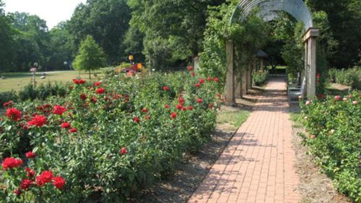 Bon Air Memorial Rose Garden