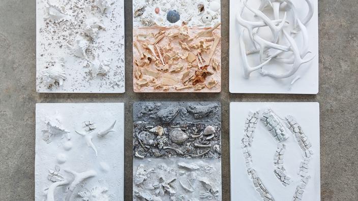 Deering Estate AT Program - Salvaged: Nature’s Readymades by Yusimy Lara