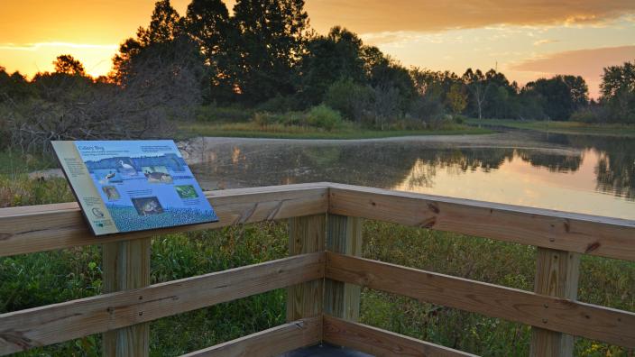 Celery Bog Nature Area South