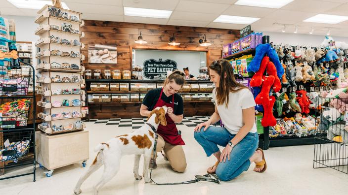 Four-Your-Paws-Only_D4C8C8D2-