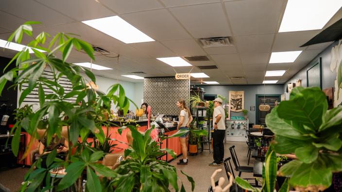 Conduit Coffee