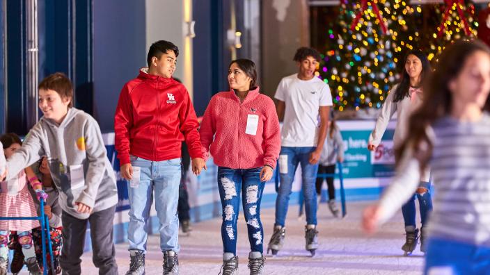 The Ice Rink