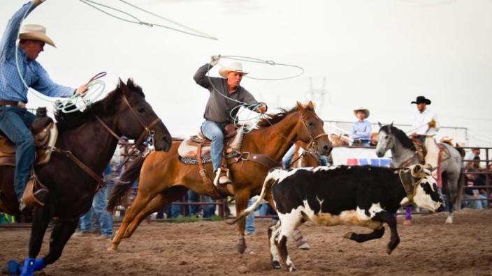 Hell on Wheels Rodeo and Chuck Wagon Dinner flyer