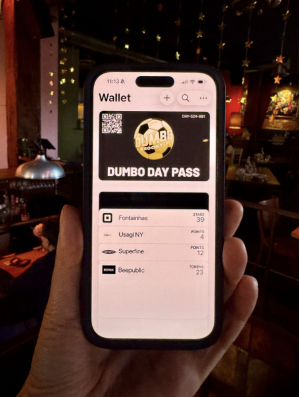 Dumbo Day Pass