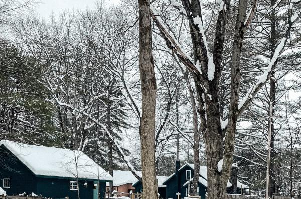 Cabin in the snow