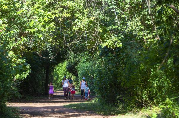 Cullinan Park and Conservancy walking trails with a group of adults and children walking