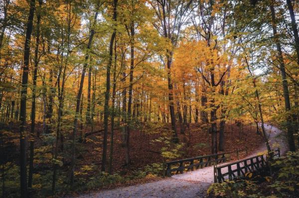 Highbanks Metro Park during the Fall
