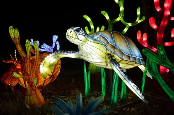 Columbus Zoo Lantern Festival