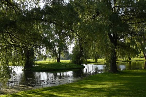 Pond at the Chalet of Canandaigua