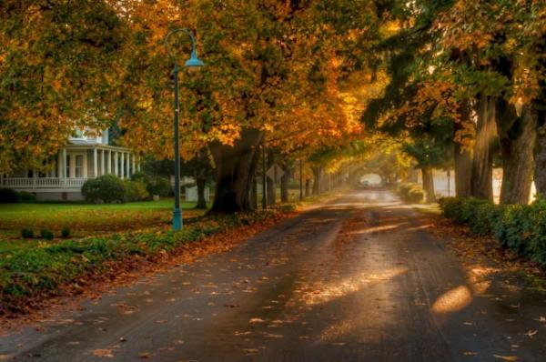 Fall on Officers Row