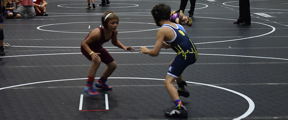 wrestle