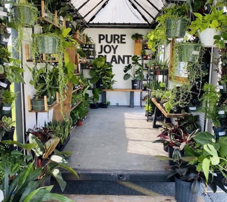 Pure Joy Plants