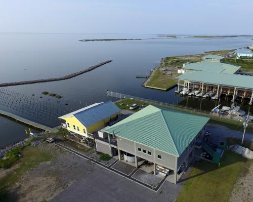 Aerial View of Oyster Hatchery by the shore