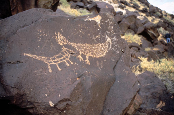 Petroglyph National Monument 2