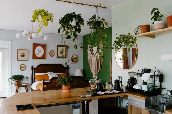 Cultivator Coffee & Other Plants Airbnb