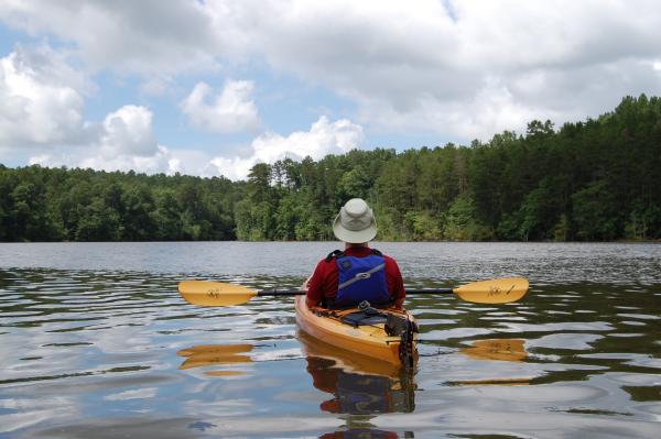 Georgia's Hidden Gems: State Parks and Historic Sites