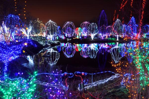 Wildlights at the Columbus Zoo