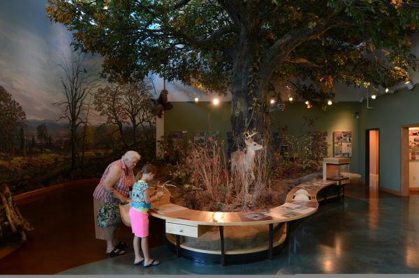 A child interacts with the antler display at Janet Huckabee Nature Center in Fort Smith, Arkansas.
