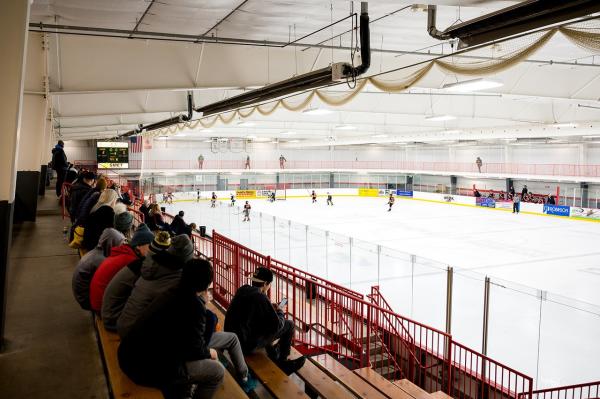 group watching a youth hockey game