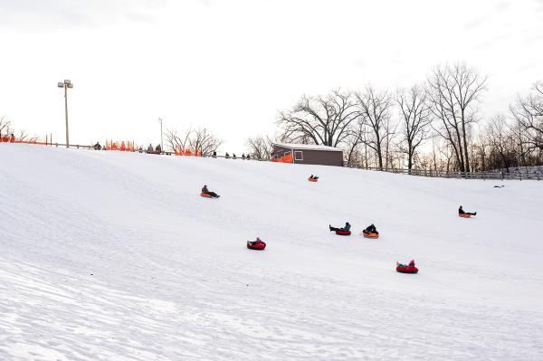 Triangle Sports Sledding Winter