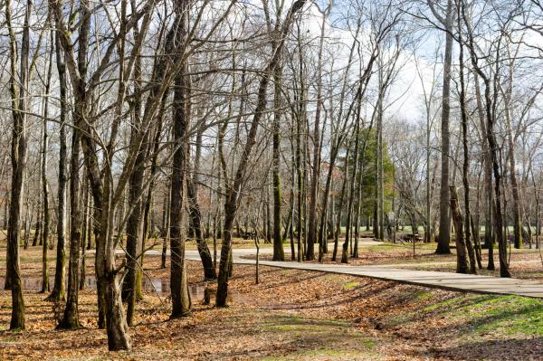 Hays-Nature-Preserve