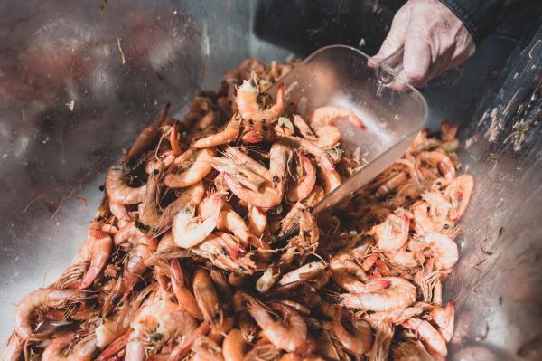 Seafood Fest Shrimp
