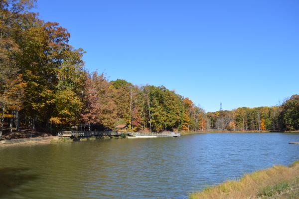 Water view of Locust Shade Park
