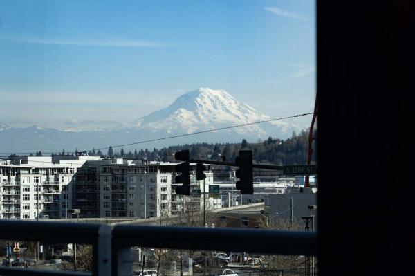 mt rainier view from ebony & ivory