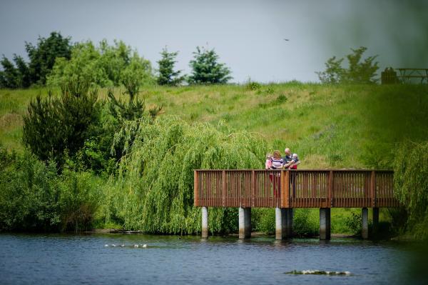 fife bird watching