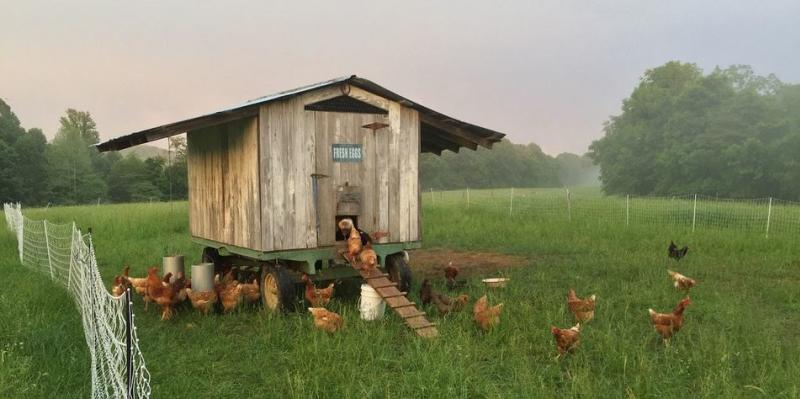 Bloomington Farm Stop Collective