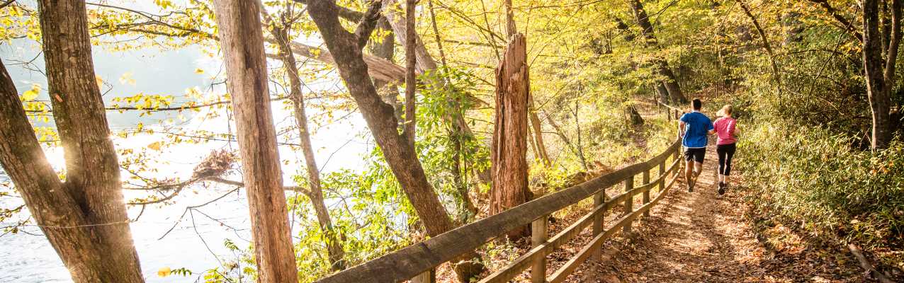 Posts In Painting With A Twist Sandy Springs Blog