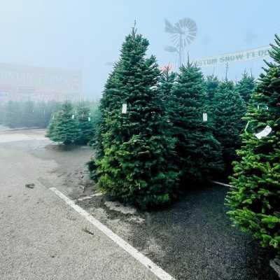 Holidays in Fresno County