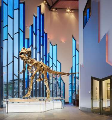 Museum at Prairie T-Rex