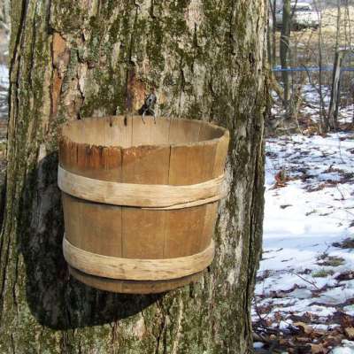 Somerset County Maple Producers Association