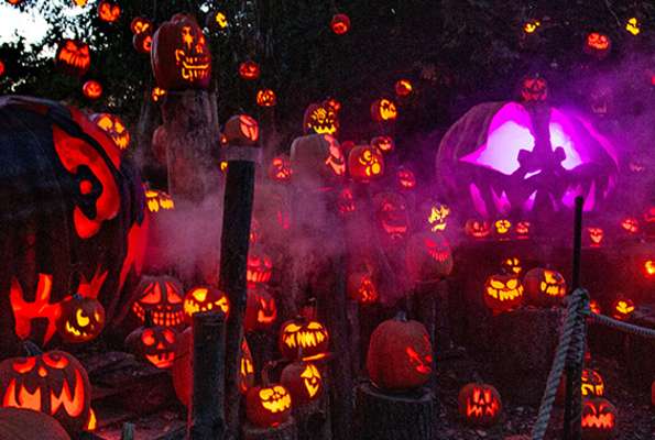 Providence Ghost Tour, LLC