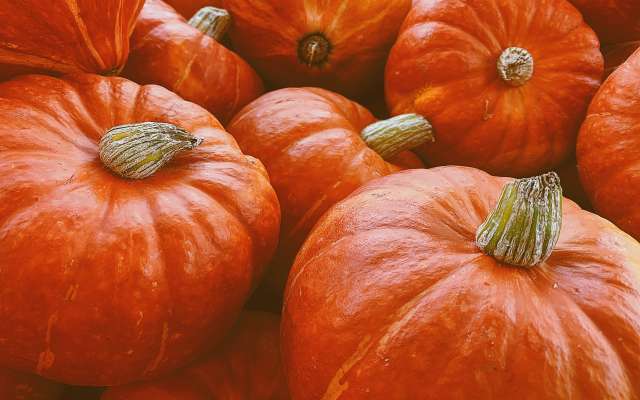 Autumn in Elizabethtown: Events to Keep An Eye On