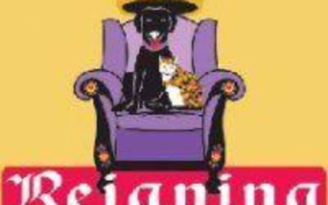 希少　サイン入り　REIGNING CATS & DOGS Reigning Cats and Dogs