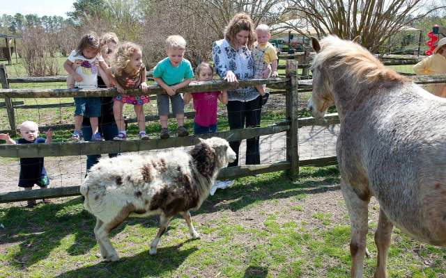 Bluebird Gap Farm