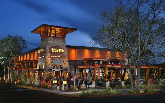 Lazy Dog Restaurant & Bar - Fairfax